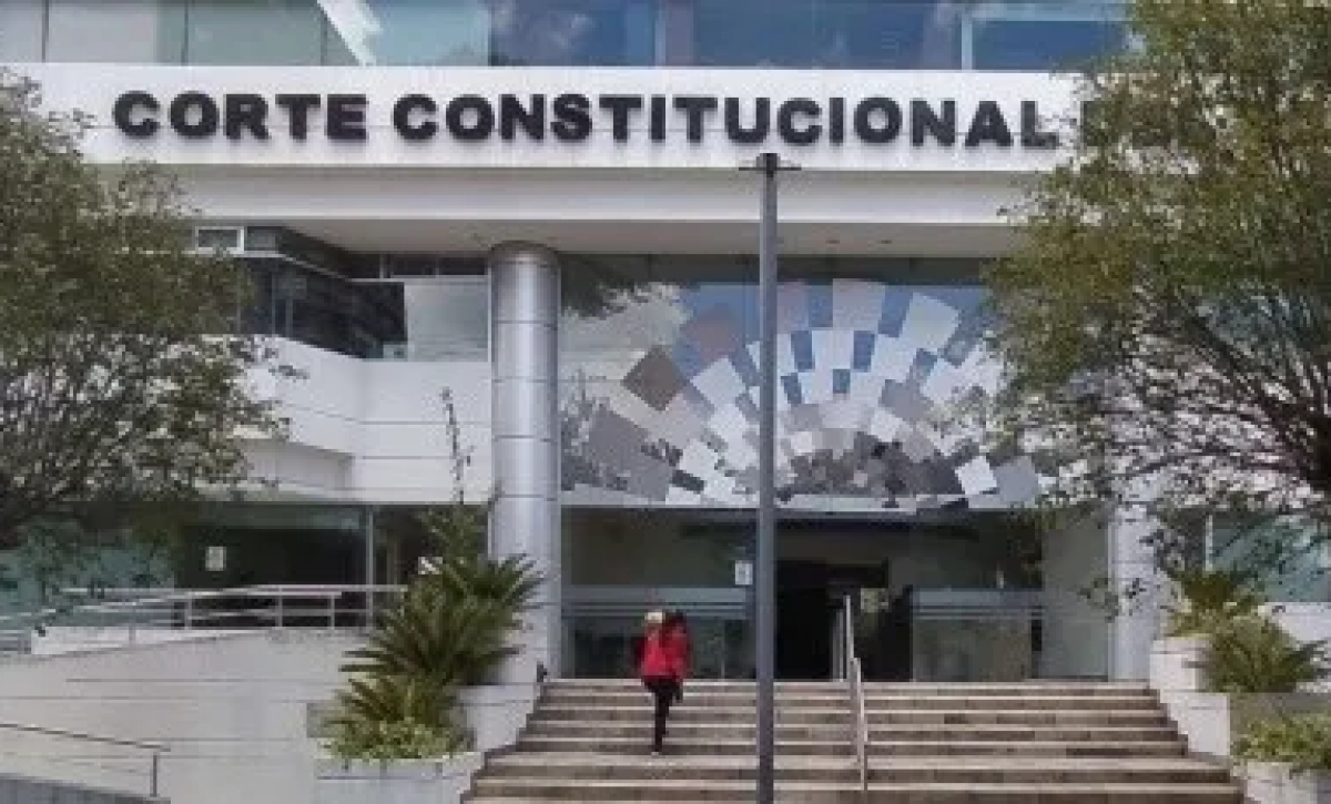 Ley de Solidaridad contra la Economía Criminal enfrenta revisión constitucional