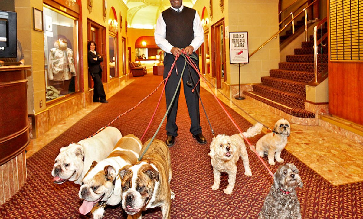 Los-hoteles-mas-lujosos-del-mundo-para-perros