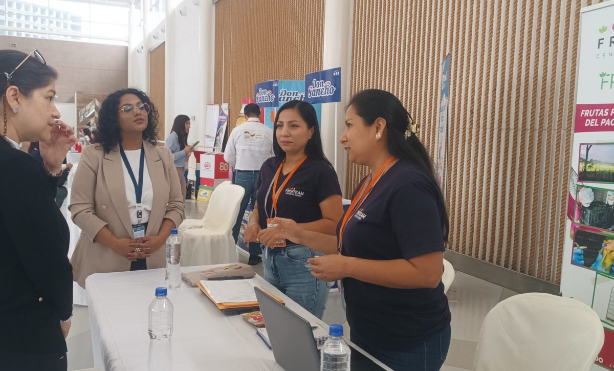La Feria de Empleabilidad 2025 en Manta conecta a más de 600 aspirantes con 21 empresas que ofrecen vacantes.