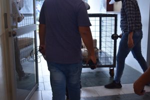 Operativo Stark en Santo Domingo Dos aprehendidos por introducir artículos prohibidos a la cárcel Bellavista