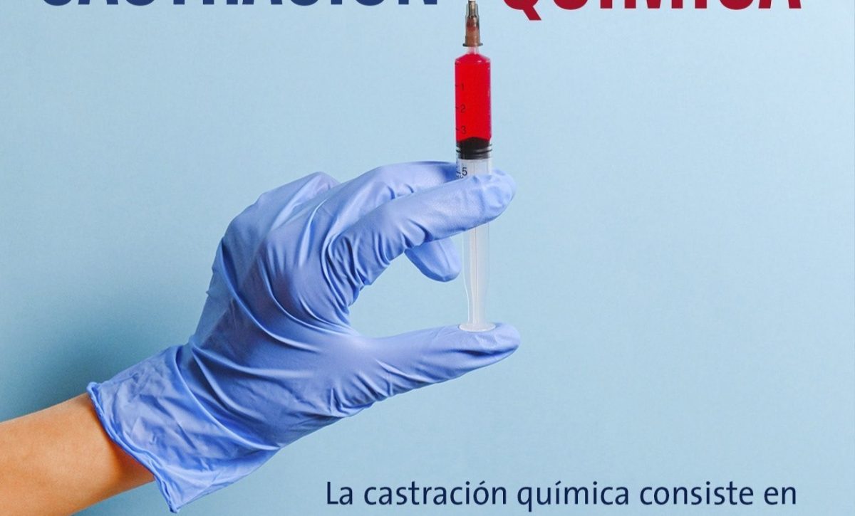 ¿Qué es la castración química que propone el presidente Daniel Noboa y cómo funciona 
