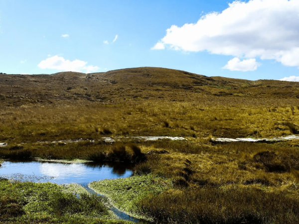 Quimsacocha: Ministerio del Ambiente garantiza conservación en áreas protegidas