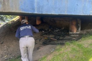 Quito autoridades recaban pruebas tras grave caso de maltrato animal en Carcelén