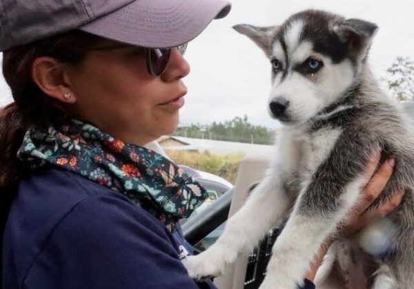 Rescatan cachorros en operativo sorpresa en mercado de El Quinche