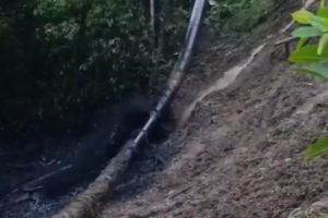 Rotura del SOTE en Napo activa plan de contingencia