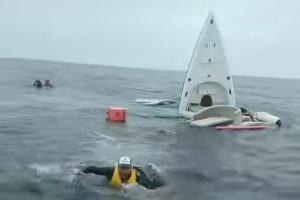 Salto de ballena jorobada hunde embarcación turística en Ecuador