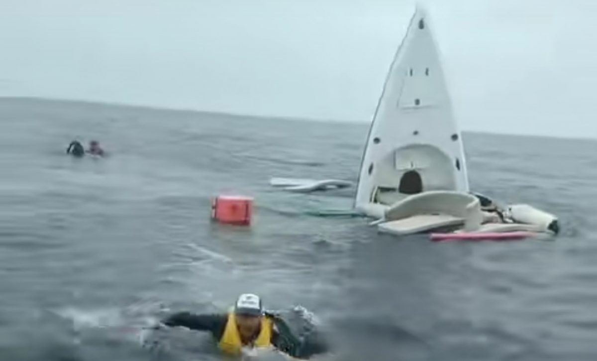 Salto de ballena jorobada hunde embarcación turística en Ecuador