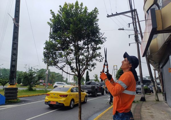 Santo Domingo inicia fiestas con minga ciudadana para embellecer la ciudad