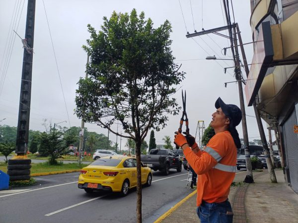 Santo Domingo inicia fiestas con minga ciudadana para embellecer la ciudad