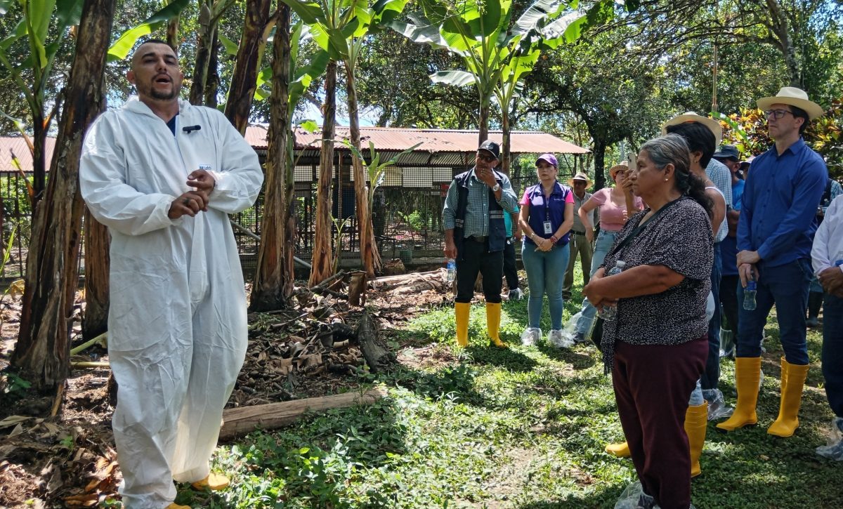 Según Agrocalidad, no existe un producto que acabe con la bacteria, lo que sí existe son técnicas para controlarla.