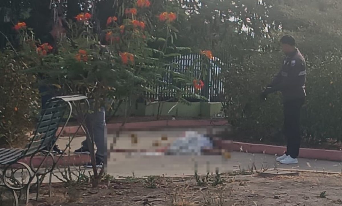 Un hombre identificado como Michel Vera Serrano, de 51 años, resultó asesinado dentro de un parque del sector Jaramisol, cantón Jaramijó.