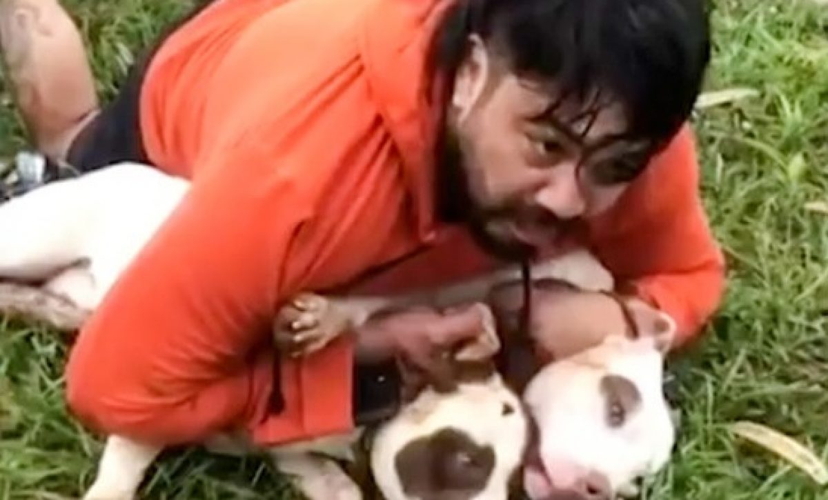 Un luchador brasileño de Muay Thai, Ernesto Chaves, de 33 años, utilizó sus habilidades en artes marciales para sobrevivir al ataque de dos perros de raza pitbull