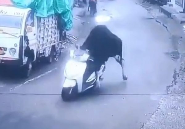Un toro se 'roba' una motocicleta y queda grabado, el animal protagoniza un video que se viralizó en varias redes sociales. (Internet).