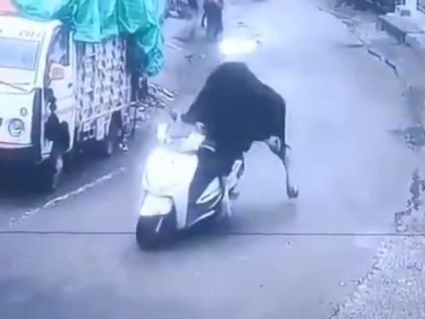 Un toro se 'roba' una motocicleta y queda grabado, el animal protagoniza un video que se viralizó en varias redes sociales. (Internet).