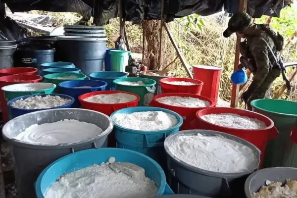 Una operación militar conjunta entre los ejércitos de Colombia y Ecuador permitió la destrucción de un laboratorio clandestino de cocaína y pasta base de cocaína.