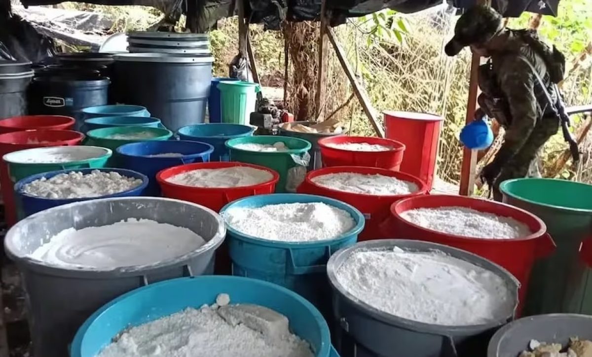 Una operación militar conjunta entre los ejércitos de Colombia y Ecuador permitió la destrucción de un laboratorio clandestino de cocaína y pasta base de cocaína.