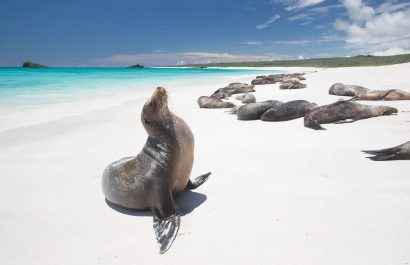 Una playa de Ecuador aparece en el ranking de las 50 mejores playas del mundo 2025