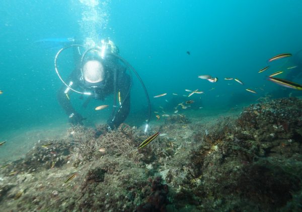 Redes abandonadas y aguas residuales amenazan arrecifes en Manabí y Esmeraldas, según estudios, causan disminución de capturas.