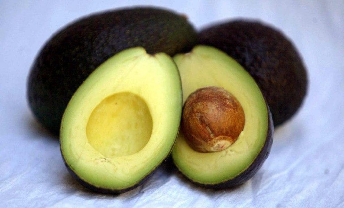aguacate