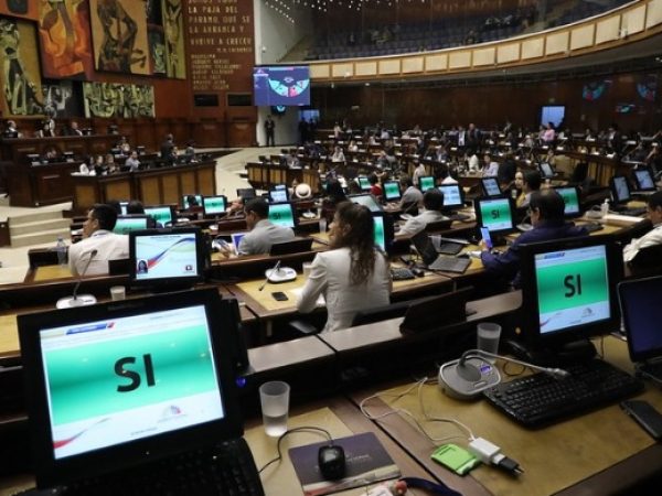 asamblea-elecciones-voto-candidatos