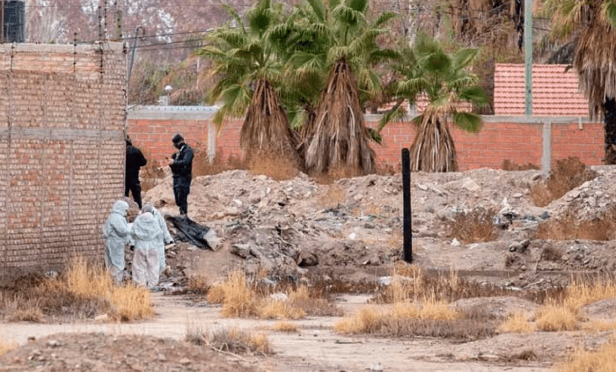 Una mujer fue encontrada muerta en un terreno baldío; el agresor tenía antecedentes por varios delitos