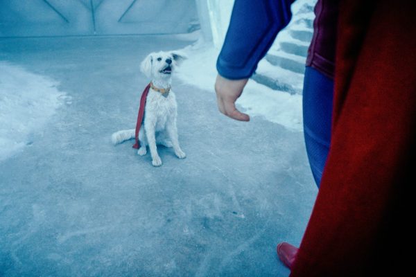 La mascota de Superman 2025 inspira un auge en la adopción de perros rescatados. FOTO: Captura de pantalla.
