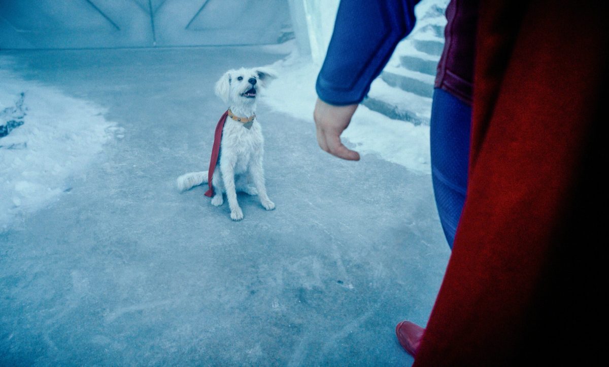 La mascota de Superman 2025 inspira un auge en la adopción de perros rescatados. FOTO: Captura de pantalla.