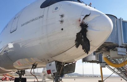 Una fotografía de 2021 muestra el impacto de un ave en un avión.