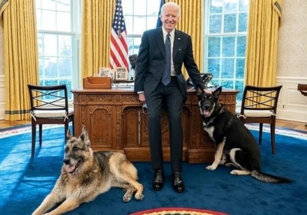 Oficina de Biden confirma diagnóstico de cáncer con metástasis: evalúan tratamiento