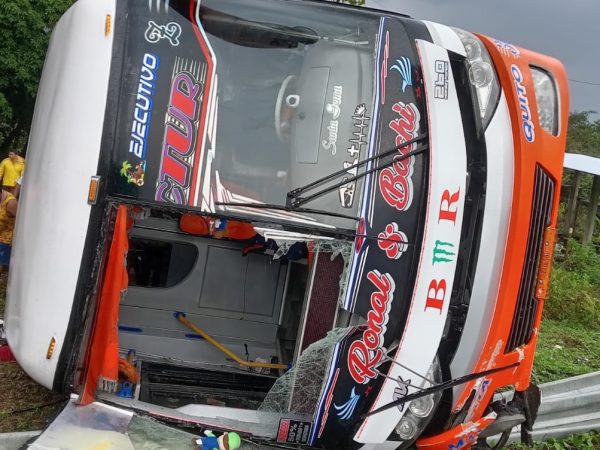 bus-8