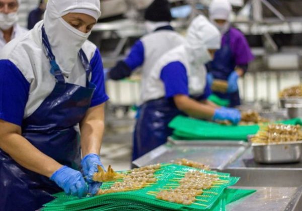 El camarón se ha convertido en el principal producto de exportación no petrolera del país.