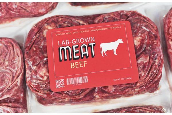 Aunque la producción de carne cultivada ha avanzado, su costo elevado sigue impidiendo que compita con la carne tradicional. Pese a que los precios han bajado gracias a la eficiencia y la escala de producción, aún están lejos de ser competitivos.
