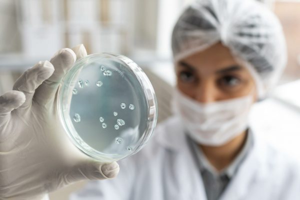 Plantas contra superbacterias: cúrcuma y ruibarbo, claves para frenar la resistencia en aguas residuales