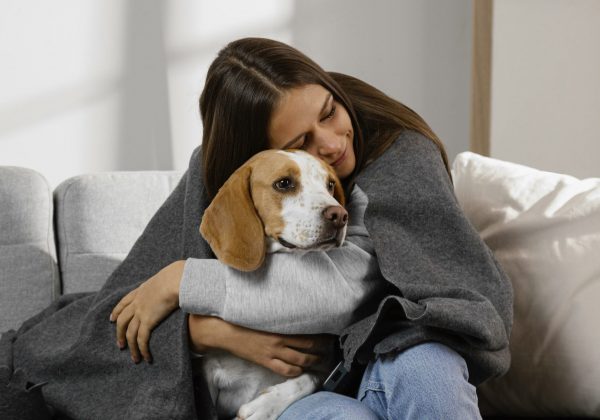 Ansiedad por separación en perros y gatos, un problema creciente en los hogares