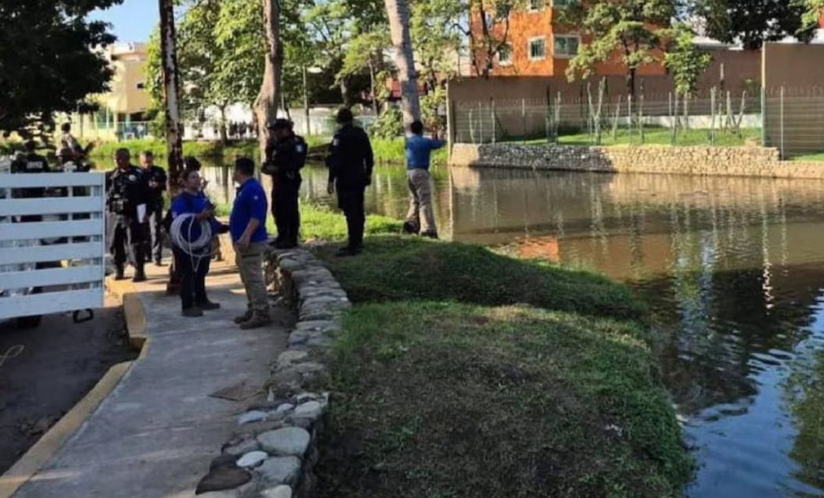cocodrilo-devoro-a-un-hombre-dentro-de-un-lago-todo-quedo-grabado
