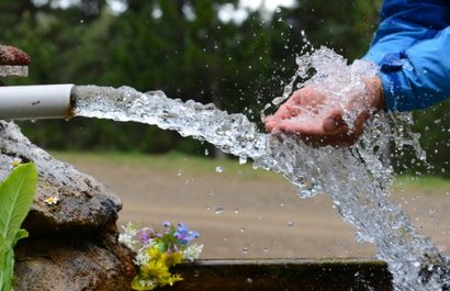 detectan-larvas-agua-corriente-ciudades_0_22_500_311