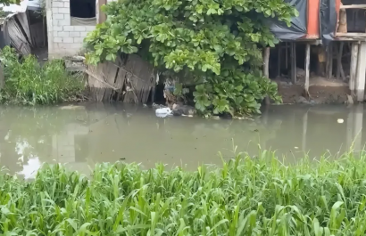 Autoridades confirmaron que se trata de Jorge Garay la persona hallada flotando en el estero El Macho, en Machala