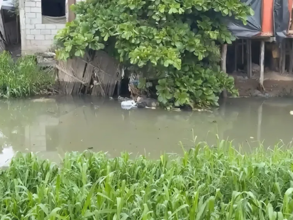 Autoridades confirmaron que se trata de Jorge Garay la persona hallada flotando en el estero El Macho, en Machala