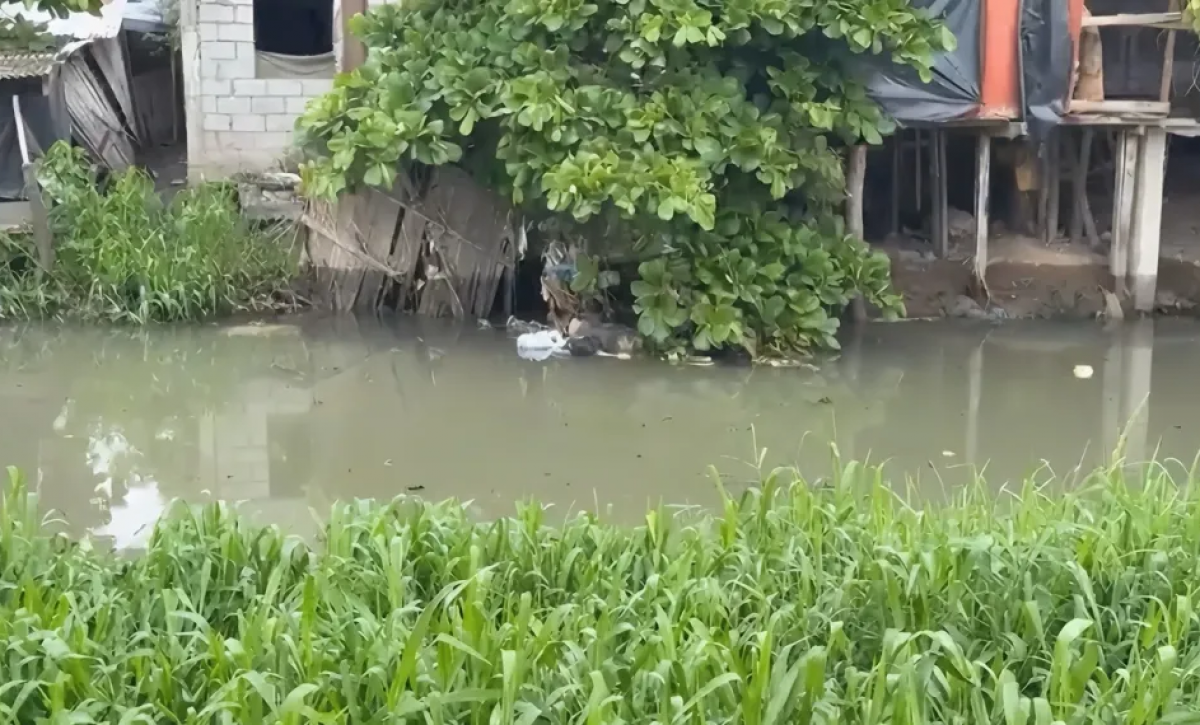 Autoridades confirmaron que se trata de Jorge Garay la persona hallada flotando en el estero El Macho, en Machala