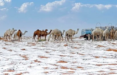 el-desierto-de-al-jawf-en-arabia-saudita-ha-sido-cubierto-por-un-manto-blanco-de-nieve-lo-que-ha-llamado-la-atencion-mundial