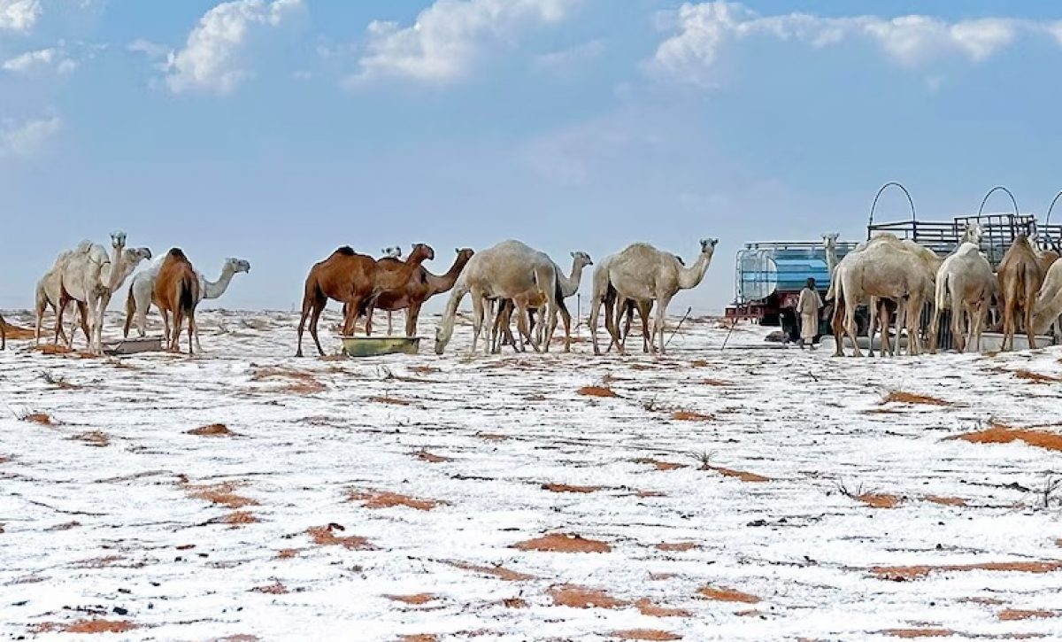 el-desierto-de-al-jawf-en-arabia-saudita-ha-sido-cubierto-por-un-manto-blanco-de-nieve-lo-que-ha-llamado-la-atencion-mundial