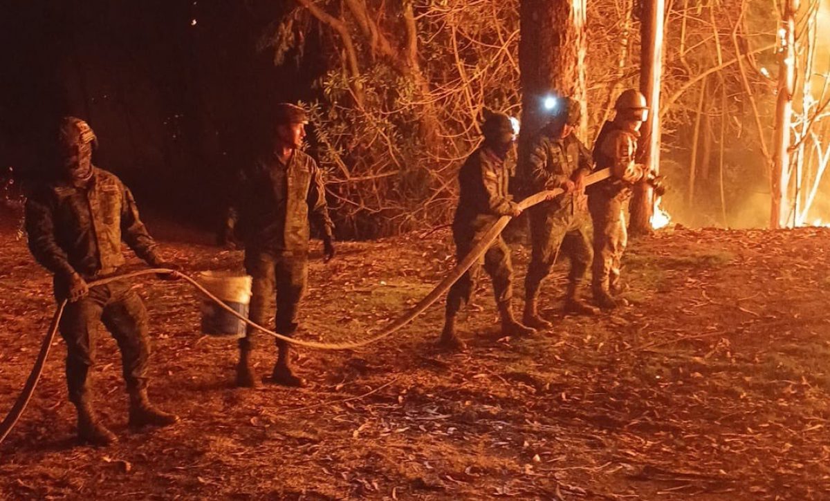el-norte-de-quito-vive-momentos-de-zozobra-debido-a-un-gran-incendio-forestal-que-se-activo-en-el-sector-de-guapulo-las-llamas-amenazan-a-dos-barrios