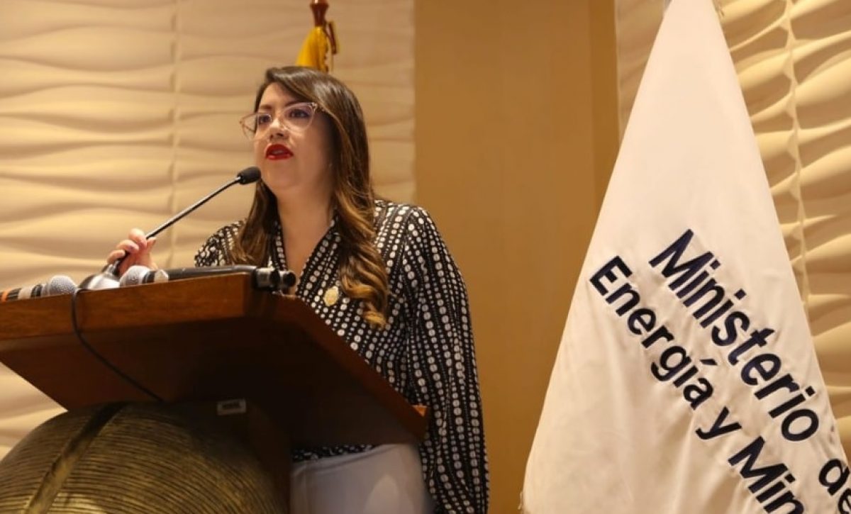 el-pleno-de-la-asamblea-nacional-censuro-este-viernes-13-de-diciembre-del-2024-a-andrea-arrobo-exministra-de-energia