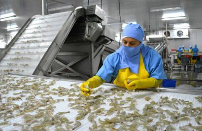 estos-productos-estrella-de-manabi-lideran-las-exportaciones-no-petroleras-de-ecuador