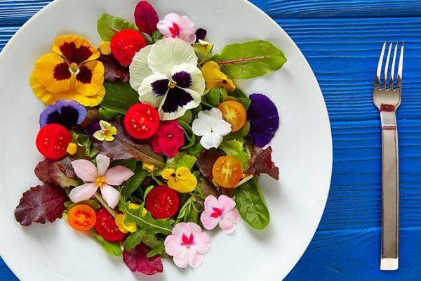 Conozca qué flores se pueden comer y cómo se usan en la gastronomía tradicional y moderna
