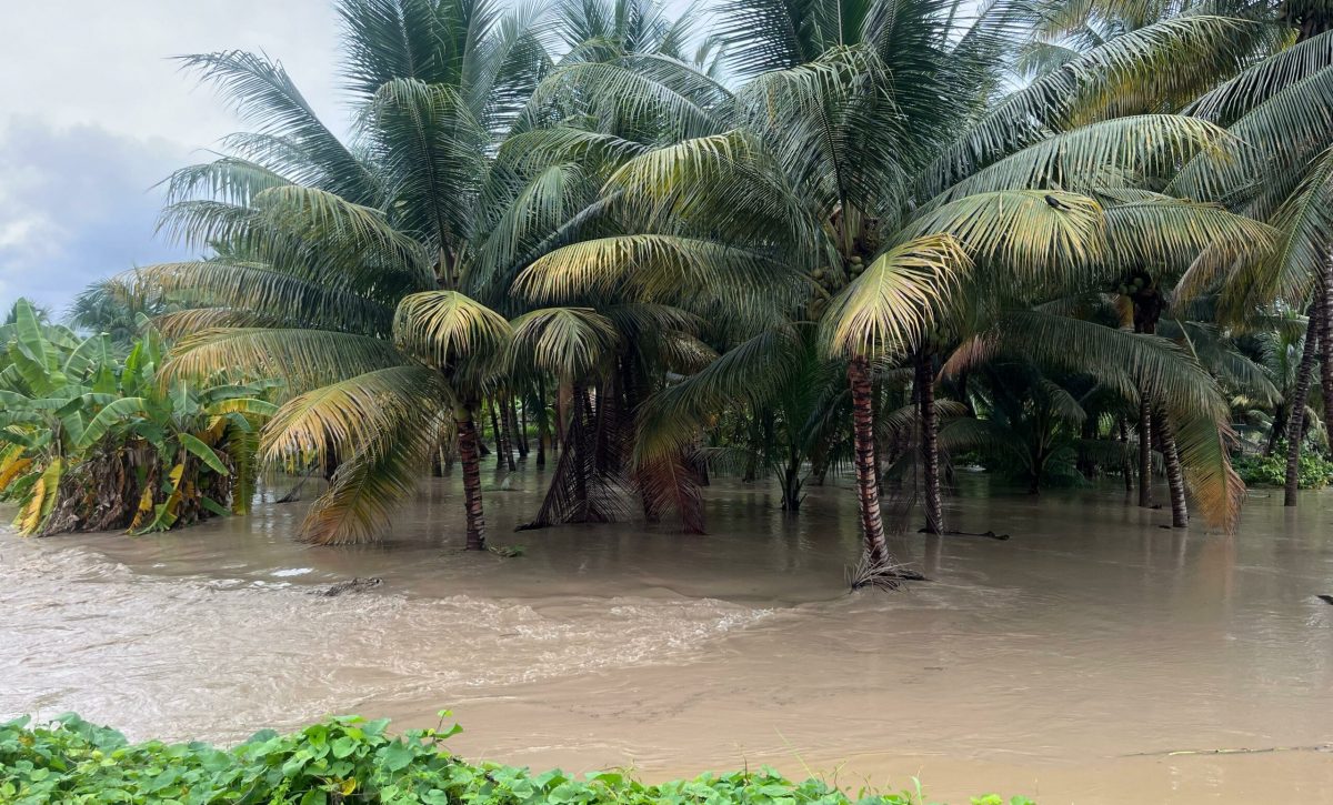 fuertes-lluvias-del-5-al-7-de-marzo-pondran-en-peligro-los-cultivos-1-1