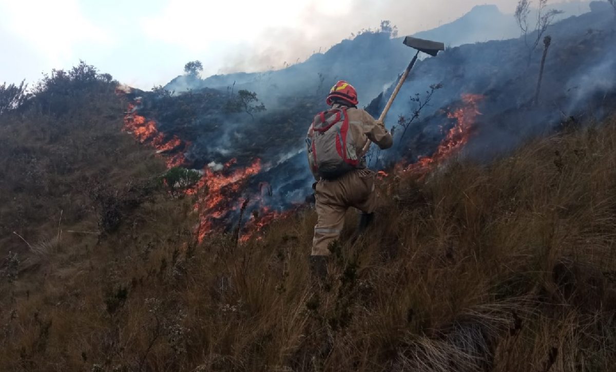 graves-incendios-forestales-se-han-registrado-en-cuenca-y-loja-las-autoridades-presumen-que-estos-han-sido-provocados