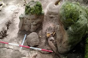 Dos esculturas antropomórficas de forma o apariencia humana que "representan a una pareja ancestral", descubiertas en el yacimiento arqueológico de Uaxactún, en la Reserva de la Biosfera Maya, departamento de Petén, Guatemala FOTO: AFP