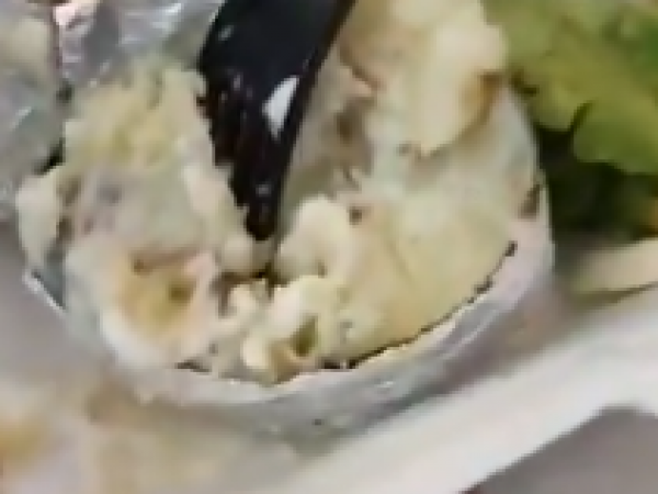 gusano