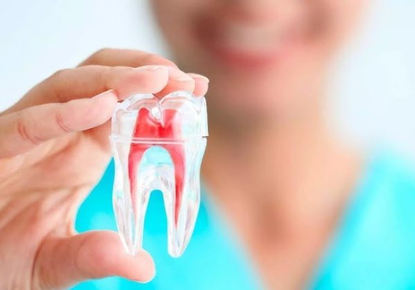 Pulpa Dental, una nueva fuente de células madre para tratar enfermedades neuronales